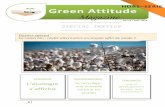 Green Attitude Magazine - asso-acit.frasso-acit.fr/wp-content/uploads/2013/03/Green-attitude-Magazine1.pdf · souffrent d'un manque de communication et on ne connait pas encore l'impact