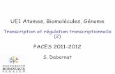 UE1 Atomes, Biomolécules, Génomemboursereau.free.fr/wordpress/p1cam/UE1/Biomol/DabernatRegul... · changements en fonction du besoin d’expression des gènes ... ou plusieurs gènes
