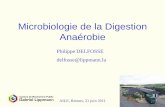 Microbiologie de la Digestion Anaérobie - aile.asso.fr · Bactérie méthanogène en symbiose avec le protiste Nyctotherus ovalis (dehydrogenase coenzyme F 420) Bactéries methanogènes