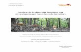 Analyse de la diversité fongique par pyroséquençage … · UMR6553 ECOBIO Université de Rennes 1 Analyse de la diversité fongique par pyroséquençage dans des sols forestiers