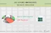 Pierre STREHAIANO LGC Toulouse - vignevin …vignevin-sudouest.com/publications/itv-colloque/documents/PS... · Inclusion. Confinement. ... Des données qui permettent l’immobilisation