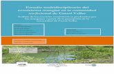 Estudio multidisciplinario del ecosistema manglar en la ... · Estudio multidisciplinario del ecosistema manglar en la comunidad tradicional de Curral Velho Análisis de los servicios