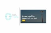 Programme Shadow Comex Blue Ocean · Construire le canevas stratégique des principales offres présentes sur le ... • Proposition de valeur, Tagline de l’offre • Cibles Clients