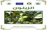 2013 - jihadbinaa.org.lb book.pdf · Grossissement des grappes florales رﺎﻫزﻷا روطﺗو وﻣﻧ ... Induction florale-Différenciation