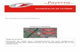 MUNICIPALITE DE PAYERNE · ponts en béton de Suisse. ... dont notamment la Direction Générale de la Mobilité et des Routes ... - construction de dalles de transition avec 2 extrémités