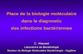 Place de la biologie moléculaire dans le diagnostic des ... · – Identification et taxonomie bactérienne • Techniques d’identification classique insuffisante • Bactérie