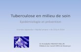 Tuberculose en milieu de soin - neptune.chu-besancon.frneptune.chu-besancon.fr/.../2014/hp_19_06_2014/fremiot.pdf · Tuberculose en milieu de soin Epidémiologie et prévention Journée
