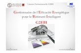Licence Professionnelle G2EBI - EEA Toulouse · Etude et installation d’un réseau de mesures énergétiques Comparaison sur les bâtiments des consommations process et bâtiment