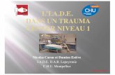 Place de l'IADE dans un trauma center niveau 1de+l'IADE+dans+un+tr… · C.H.U. Montpellier Octobre 2016. ... hématome, craniectomie de décompression) ... médecine d’urgence