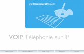 VOIP Téléphonie sur IPsoftnews.o.s.f.unblog.fr/files/2009/09/guidedeprojetvoip.pdf · sur IP, en particulier dans les cas de communications entre sites distants d’une même entreprise,