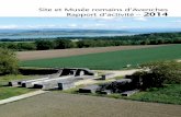 Site et Musée romains d’Avenches Rapport d’activité – … · Rapport d’activité ... l’entretien du site a été confié par le SIPaL au service de la voirie de la ...