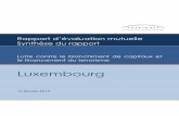 le financement du terrorisme - FATF-GAFI.ORG Luxembourg... · L’infraction de blanchiment de capitaux est en grande ... conditionnée par une déclaration d’opération suspecte
