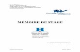 MÉMOIRE DE STAGE - cyberdoc.univ-lemans.frcyberdoc.univ-lemans.fr/memoires/2016/Economie/M2_ECO_2016/M2_… · COMPTABILITE ET CONTRÔLE AUDIT . ... du MAINE . MÉMOIRE DE ... chaque