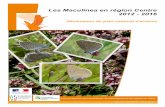 Plan Régional d’Actions 2012/2016 - maculinea.pnaopie.frmaculinea.pnaopie.fr/wp-content/uploads/2010/12/Redaction_PRA... · Plan Régional d’Actions 2012-2016 en faveur des Maculinea
