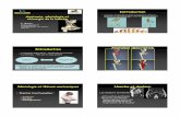 Anatomie, sémiologie et chirurgie de la hanchegemoonline.fr/Presentations/2011/AnatomieSemioHanche.pdf · 1 Anatomie, sémiologie et chirurgie de la hanche F. Gouin Clinique Chirurgicale