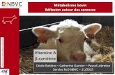 Vitamine A -carotène - Relaiswebcastingrelaiswebcasting.com/aftaa/2015/2 - LEBRETON_Pascal... · Carence en vitamine A au moins 4 troubles distincts : La kératinisation diminue