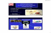 Système limbique - newschwann.files.wordpress.com · 08/03/2017 1 L2S4 Psychophysiologie La sensorialité (10h) - Principes de base de la sensorialité (2h) - L’audition (4h) -