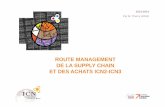 ROUTE MANAGEMENT DE LA SUPPLY CHAIN ET …docushare.icn-nancy.fr/dsweb/Get/Document-33022/Présentation Route... · Vous former aux multiples facettes du management logistique et