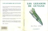 LES LEZARDS DE GUYANE LES LEZARDS GUYANE … (1990) Les lézards de Guyane... · La Guyane française appartient à un ensemble géographique dont les ... et qui s'étend aujourd'hui