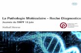 La Pathologie Moléculaire - Roche Diagnostics - smpf.info · Type d’échantillon primaire Tissus FFPE et/ou plasma Récipient / réactifs (selon Fiches Techniques) Tampon de lyse,