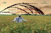 Acquis de la crise rizicole : politiques pour la sécurité ... from the rice crisis-fr.pdf · élaboré une stratégie en vue de la redynamisation du secteur rizicole au Nigeria.