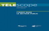L’AUDIT DANS LE SECTEUR PUBLIC - …telescope.enap.ca/Telescope/docs/Index/Vol_18_no_3/Telv18no3_audit… · 73 Le développement de l’audit interne dans le secteur public belge
