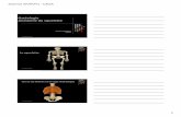 Anantomie du squelette - cesaemspbp2014.hautetfort.comcesaemspbp2014.hautetfort.com/media/02/00/3051061621.pdf · Ostéologie Anatomie du squelette Jeannot AKAKPO CESA ... Les os