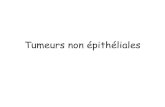 Tumeurs non épithéliales - andre.ar.free.frandre.ar.free.fr/anapath8.pdf · – Myélofibrose chronique idiopathique ... atteinte de la moelle osseuse, digestive… Mastocysose
