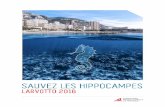 SAUVEZ LES HIPPOCAMPES - fpa2.org · la Réserve Marine du Larvotto au côté de ... • Communiquer le nom à faire graver sur la dalle Dalle Hippocampe gravure couleur Or Marbre