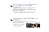 Examen de l’appareil génital de la vache : Objectifsphysiologie.envt.fr/wp-content/uploads/2016/09/propesemiovache2.pdf · Examen général de l’animal Appareil locomoteur ...