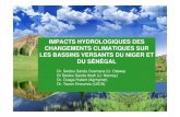 IMPACTS HYDROLOGIQUES DES CHANGEMENTS CLIMATIQUES SUR LES ... · IMPACTS HYDROLOGIQUES DES CHANGEMENTS CLIMATIQUES SUR LES BASSINS VERSANTS DU NIGER ET DU SÉNÉGAL Dr. Seidou Sanda