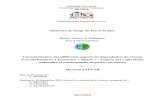 Mémoire de Stage de Fin d’Etudes - saidi.masaidi.ma/memoires/jaffar2012.pdf · Mémoire de Stage de Fin d’Etudes Caractérisation des différents aspects de dégradation du réseau