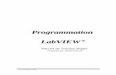 Programmation LabVIEW - ni.com · Programmation LabVIEW ® Recueil de Travaux dirigés Proposés par Michel Fiocchi 22 novembre 2002