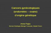Cancers gynécologiques (endomètre – ovaire) d’origine ...campus.cerimes.fr/gynecologie-et-obstetrique/des/cancers_endometre... · RB1 . CDH1 . MEN1 . Côlon, thyroïde, estomac,