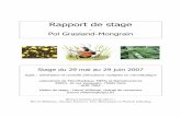 Rapport de stage - polgm.free.frpolgm.free.fr/travail/stage_espci/rapport_polgm.pdf · Rapport de stage - Pol Grasland-Mongrain Stage du 29 mai au 29 juin 2007 ... ou Unilever s’intéressent