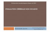 STIMULATION CÉRÉBRALE NON INVASIVEphysio.tsticemed.upmc.fr/wp-content/uploads/...Stimulation2011.pdf · Stimulation magnétique transcrânienne(TMS): un outil d’étude fonctionnelle