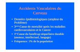 Accidents Vasculaires du Cerveaupublicaccesserver.free.fr/promotion 2007-2010/1ere annee/neuro/AVC.pdf · • Survenue brutale de signes neurologiques focales dépendant de la région