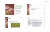 5-Fertilisation bio - IQDHO bio.pdf · 2015-11-20 1 Établissement d’une régie de fertilisation biologique dans les productions de fines herbes en serre Émilie Lemaire agr, M.Sc.