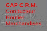 Conducteur Routier Marchandises - Pharouestpharouest.ac-rennes.fr/e350050P/capcrm1-5.pdf · le service transport de marchandises par ... des messages simples et cohérents sur des