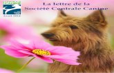 La lettre de la Société Centrale Canine · 2015-03-10 · Quand on trouve qu’un chien est « beau », ... utile demander l’avis d’un vétérinaire 6 7 ... Nous leur souhaitons