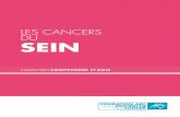 Brochure Les cancers du sein - Fondation ARC · Les cancers du sein • 5 FONDATION ARC POUR LA RECHERCHE SUR LE CANCER Lorsque les mutations sont trop importantes pour être réparées,