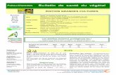 ÉDITION GRANDES CULTURES - DRAAF Nouvelle …draaf.nouvelle-aquitaine.agriculture.gouv.fr/IMG/pdf/BSV-GC-PC212... · POITOU Les BSV sont disponibles en accès direct sur le site