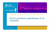 De la mutation génétique à la maladie - UNIL - UNIL … · Syndrome de l’X fragile, analyse par PCR 32 De la mutation génétique à la maladie Monica J. Basehore1 et al., 2009