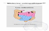 Médecine ostéopathique Les intestins - osteopedia.iao.beosteopedia.iao.be/uploads/les_intestins_demo.pdf · L’intestin grêle ..... 15 2.1.4. Ligament de Treitz et ligament suspenseur