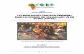 LES MUTILATIONS GENITALES FEMININES DANS LES REGIONS DE HADJAR LAMIS ET DU GUERA (TCHAD) · 2018-01-17 · ... mutilation génitale féminine BET : ... La lutte contre les MGF menées
