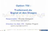 Option TSI : Traitement du Signal et des Imagessc.enseeiht.fr/tsi/doc/PresentationTSI.pdf · Nicolas Dobigeon (N7) – 6 Cours + 2 TD + 1 projet TSI fondamentalTraitement des signaux