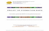 Projet Peda BAFD - STAJ Nord - Artoisstaj.nordartois.free.fr/docs/projetpedaBAFD.pdf · Service Technique pour les Activités de Jeunesse 36. rue de Mons 59300 Valenciennes Tél.