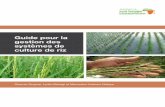 Guide pour la gestion des systèmes de culture de rizafricasoilhealth.cabi.org/.../French-Rice-Guide-A5-colour-lowres.pdf · rapport à l’ouvrage lui-même, soit à la façon dont