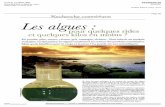 cosmétique Les aimes - Institut beauté Paris 16 Etoile ... · COTE COIFFURE 34 AVENUE DES CHAMPS ELYSEES 75008 PARIS - 01 48 12 35 35 FEV/MARS 09 Bimestriel Surface approx. (cm²)