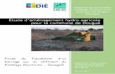Etude d’aménagement hydro -agricole pour la …wordpress.dioisjumelages.fr/wp-content/uploads/2017/07/Rapport... · 3. Genèse des projets hydro-agricole ... cours (2016) d'un